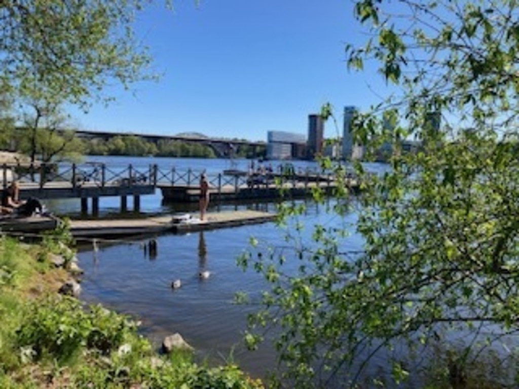 Bathing dock with tramoline