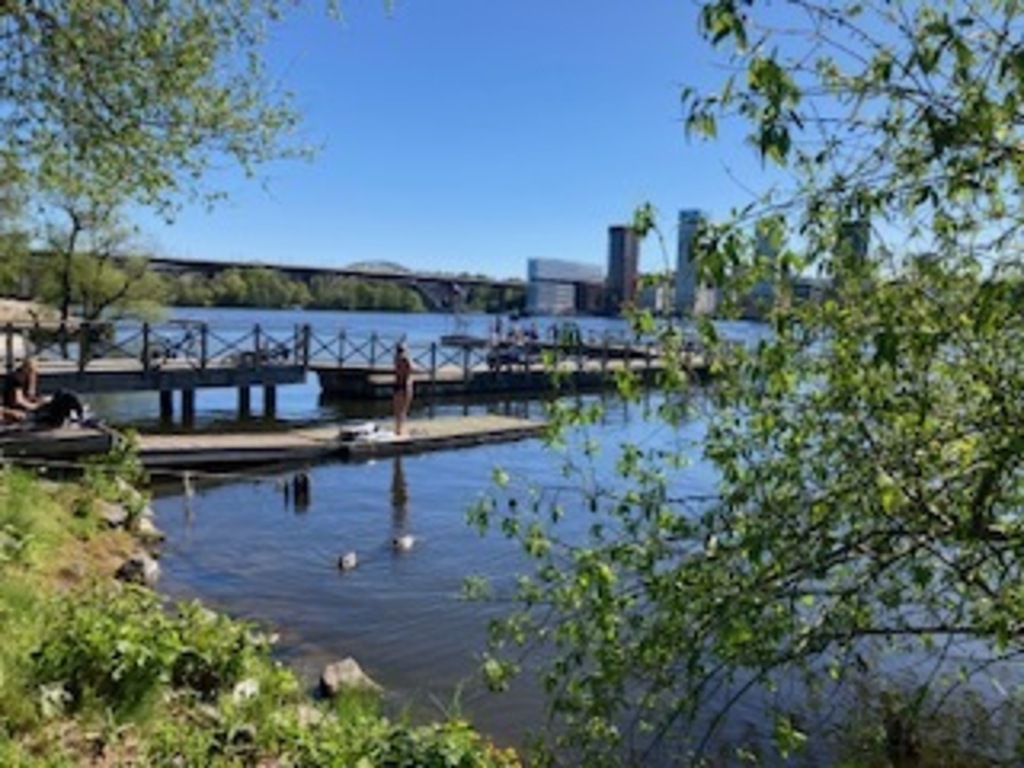 Bathing dock with tramoline