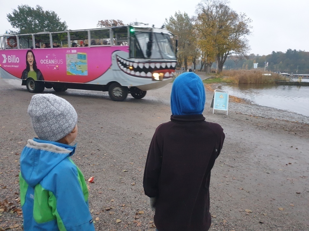 My sister´s sons are looking at Sightseeing. We had been at the Technical museum.
