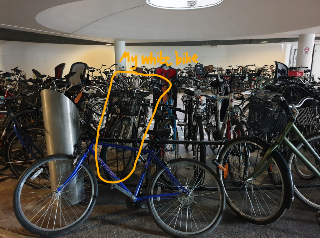 I have two bikes to lend. My white bike is here and  my red bike is in my storge room.