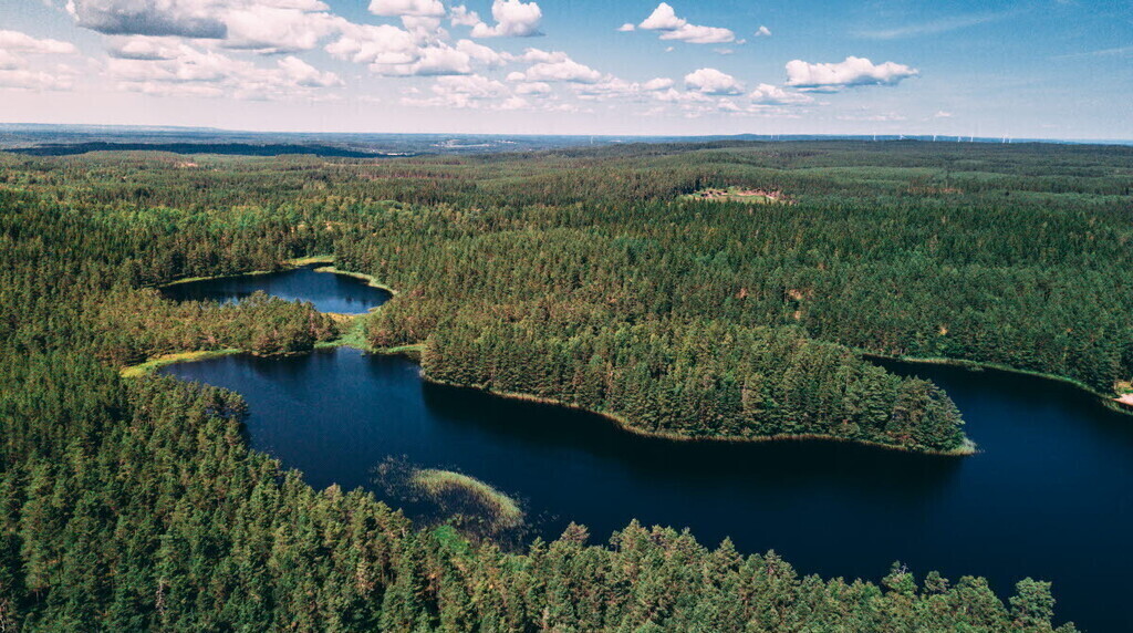 The nature reserve Hökensås, with around 50 forests lakes. (Photo from www.visitvattern.com)