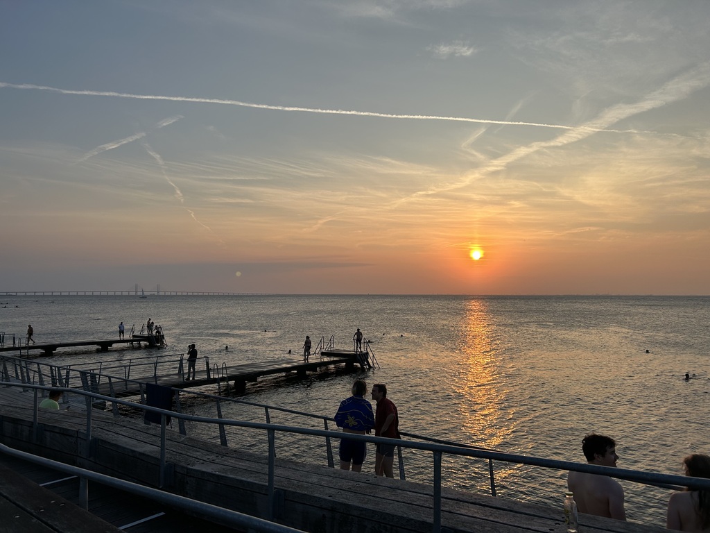 Go for a swim in Öresund - from the Malmö harbour