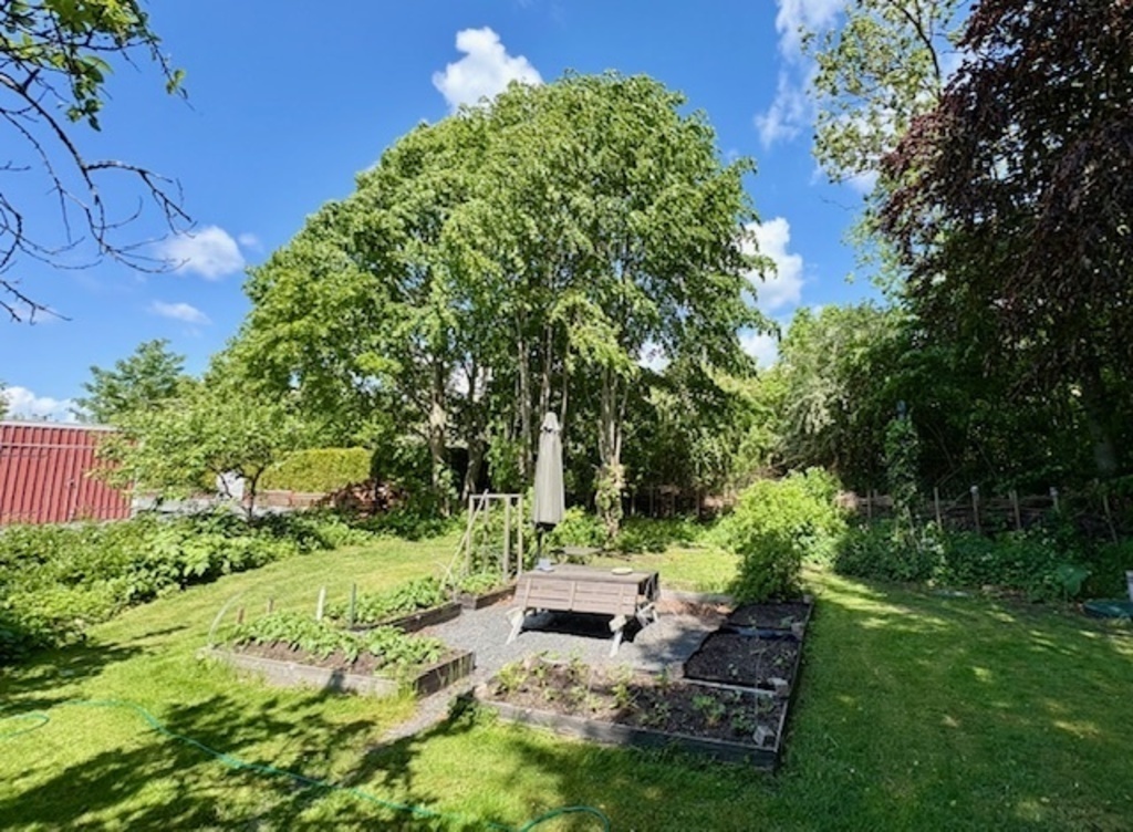 A nice place in the sun.