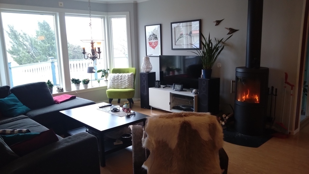 Common area with TV and fireplace 