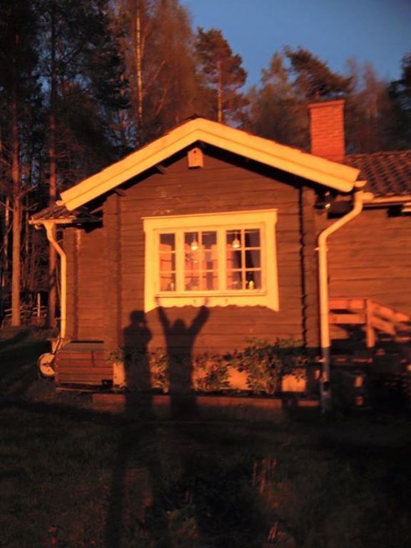 Front view summer cottage