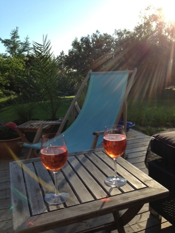 view from our veranda Gothenburg house