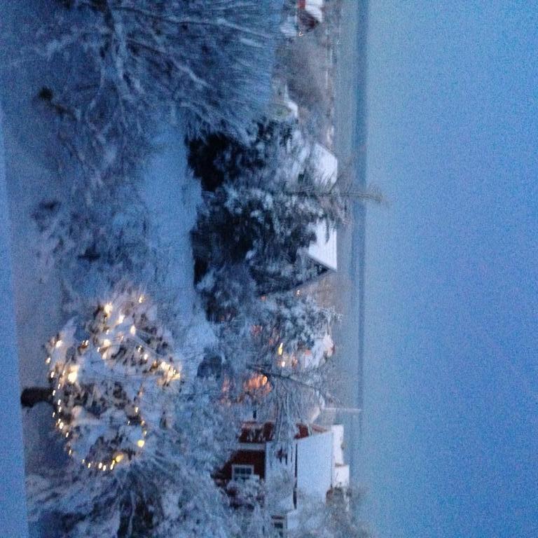 Winter view from the living room