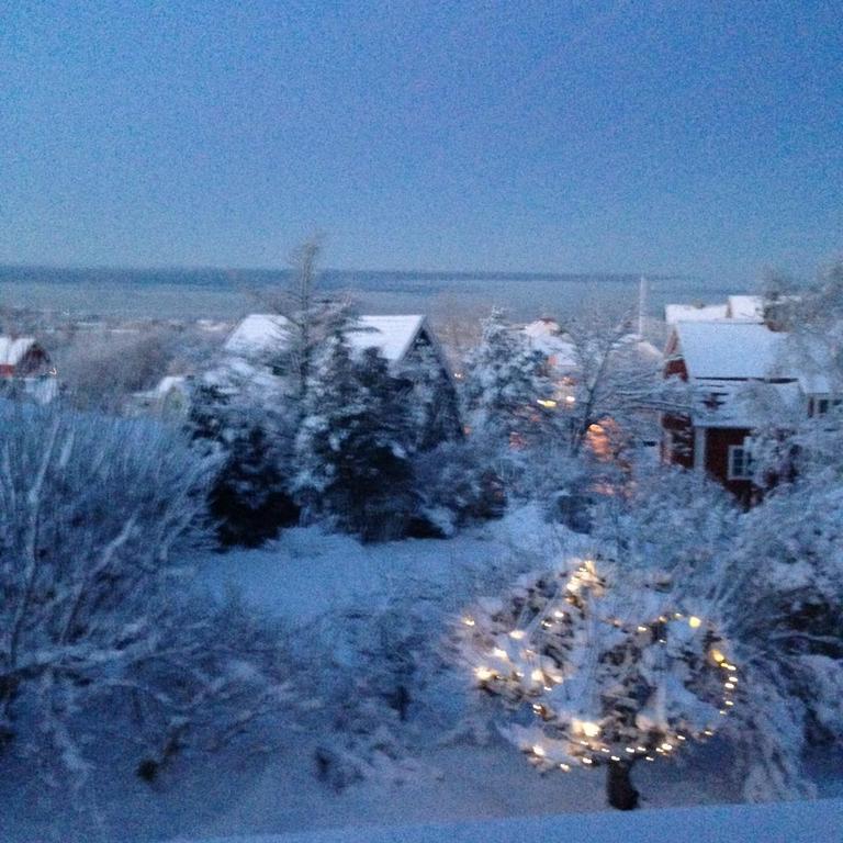 Winter view from the living room