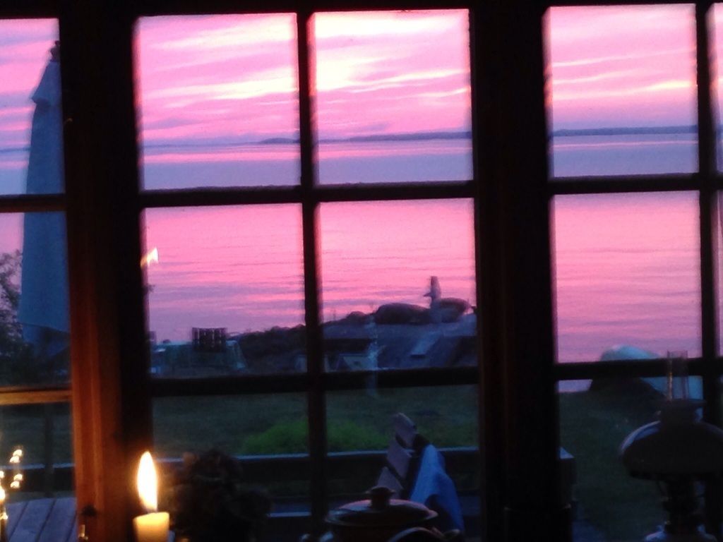 View from livingroom. 