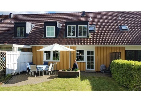 patio at the back facing the forest