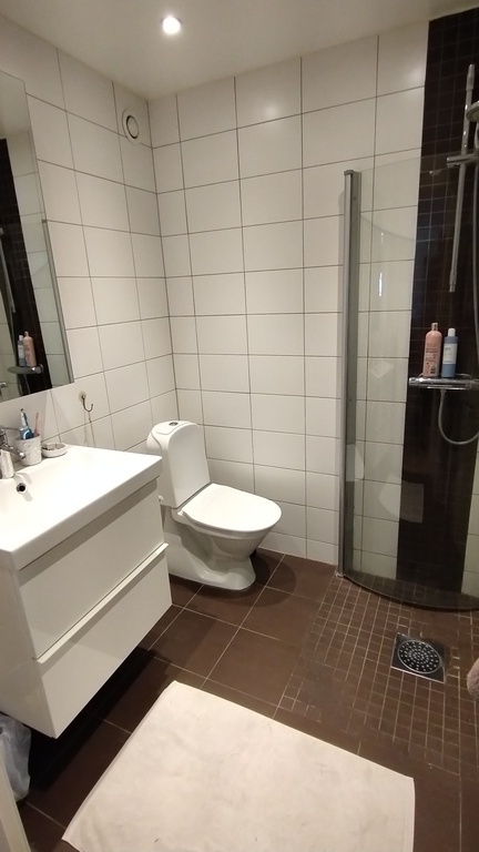 Bathroom with shower downstairs