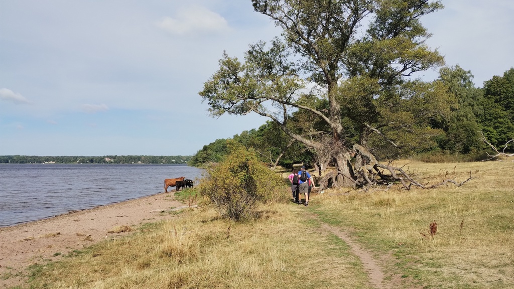 Hiking in Morga Hage (10 km)