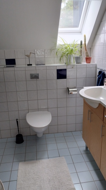 Bathroom with shower upstairs