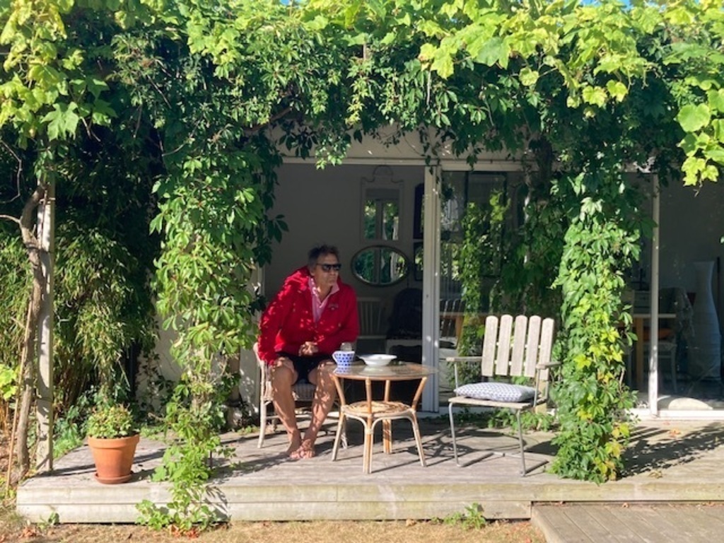 Our pergola in August -25