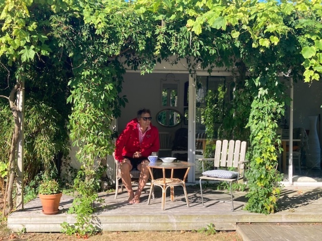 Our pergola in August -25