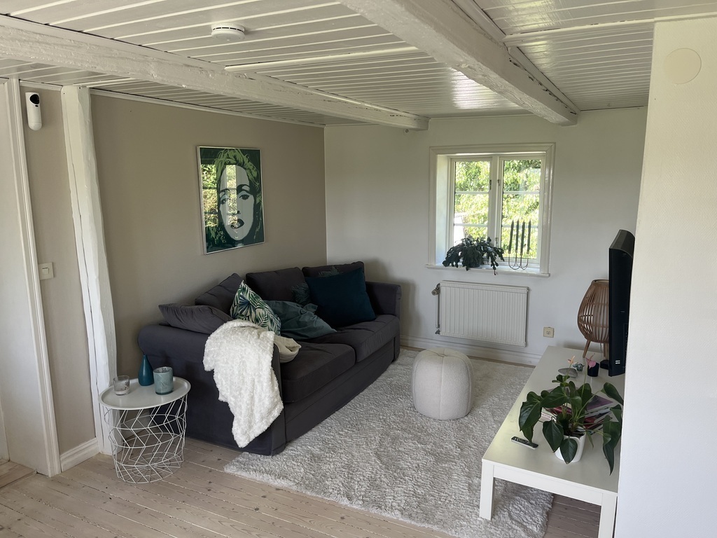 small livingroom downstairs - with double sofabed 