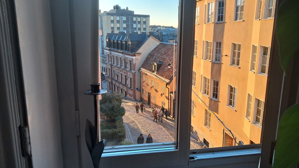 View from a window in the livingroom.