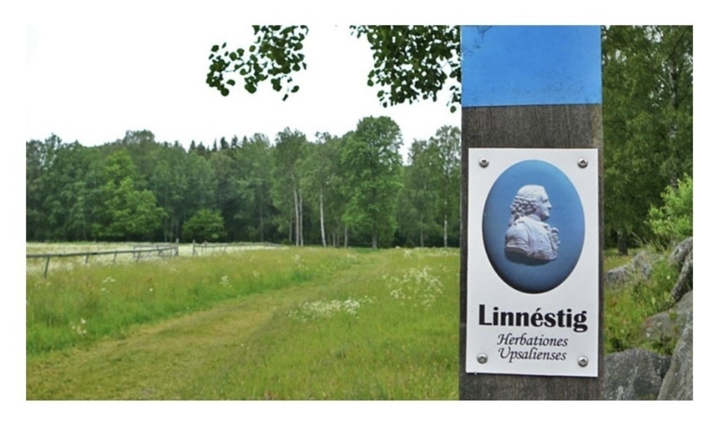 Hiking and walking path: "Linnéus trails" botanical walks