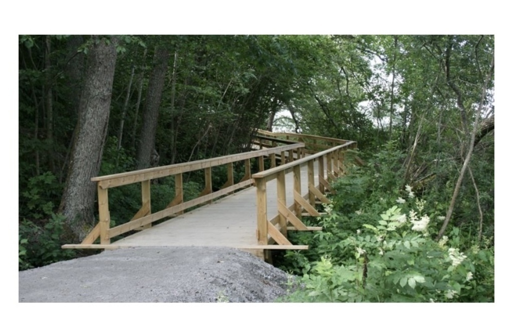 Walking path by the water