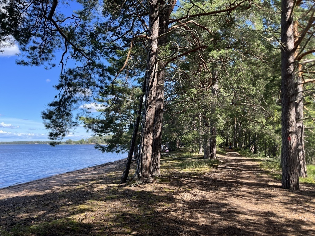 This is our favourit beach, about 15 minutes by car from our house.