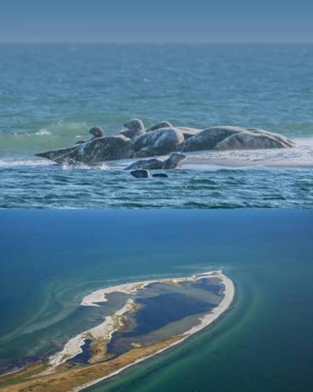 Popular Måkläppen hiking Falsterbo, 5 km from the house