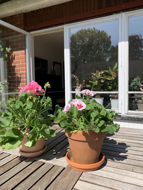 The deck facing the living room.