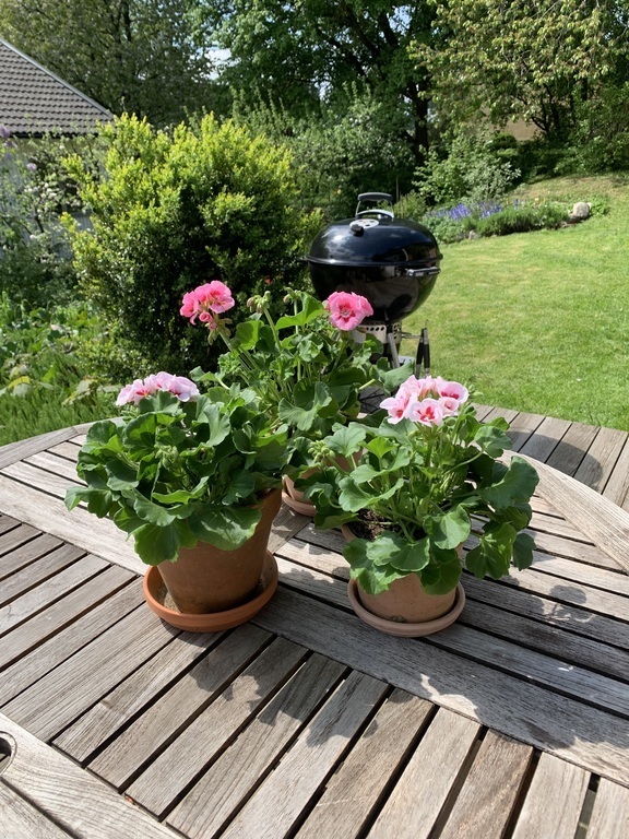 Flowers on the table on the deck.