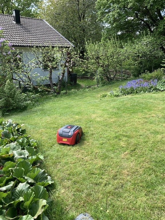 The garden with our robot.