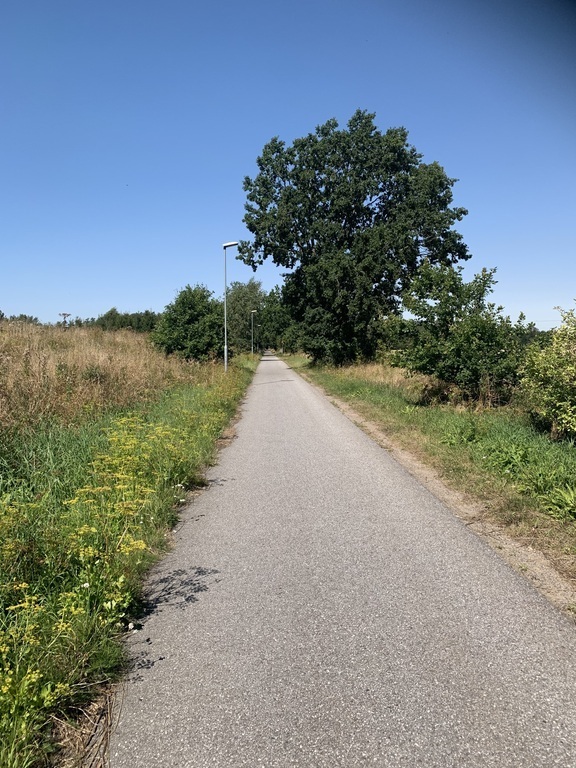 The road to Lilla Harrie.