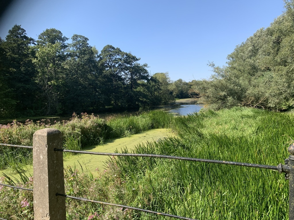 The bridge at Lilla Harrie.