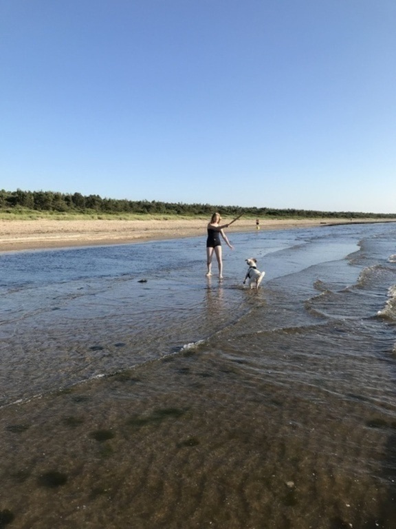 Sibirien beach. Dogs are allowed on the south part of the beach. Dogs are also allowed at Hunnabadet, north of Skälderviken m...
