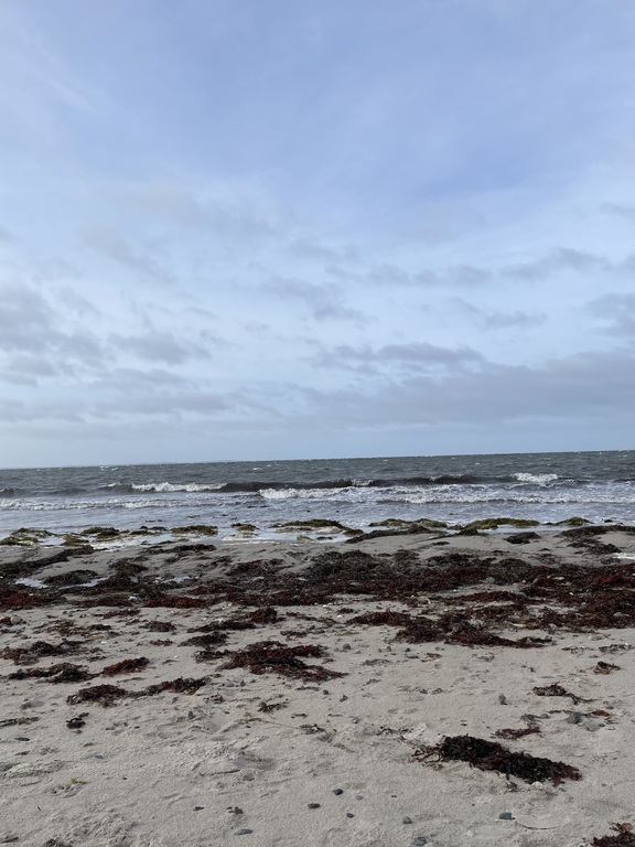 Beack 100 meter from facility