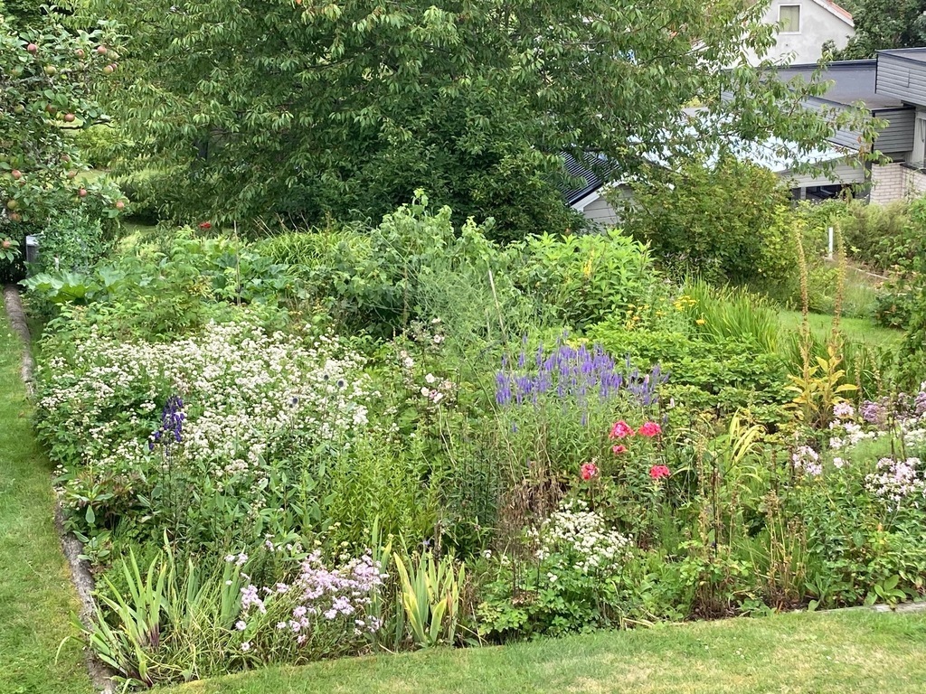 Flowers, vegetables, berries