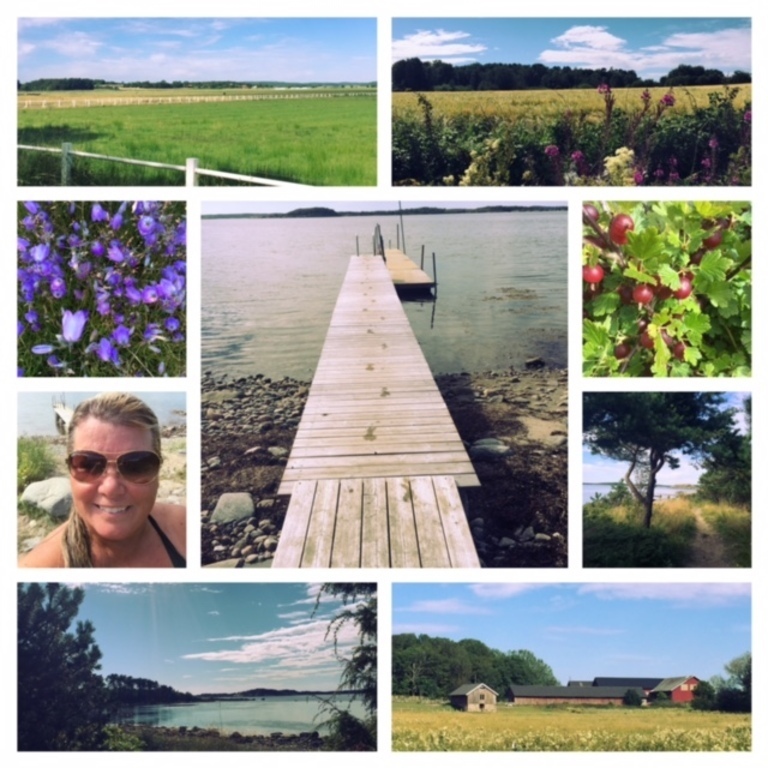 Pictures from our neigburhood.