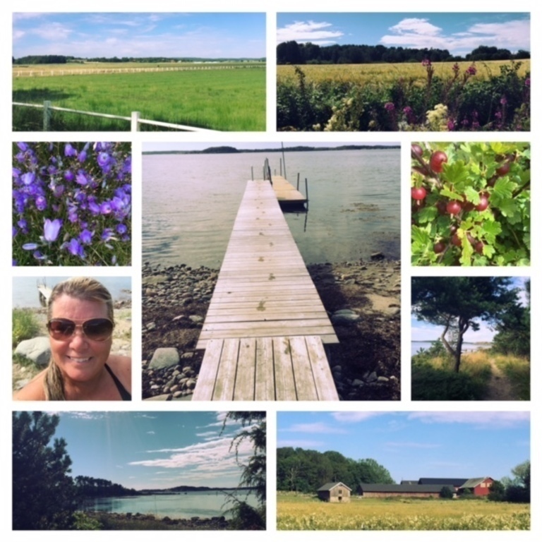 Pictures from our neigburhood.