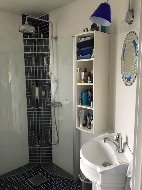 Bathroom downstairs.