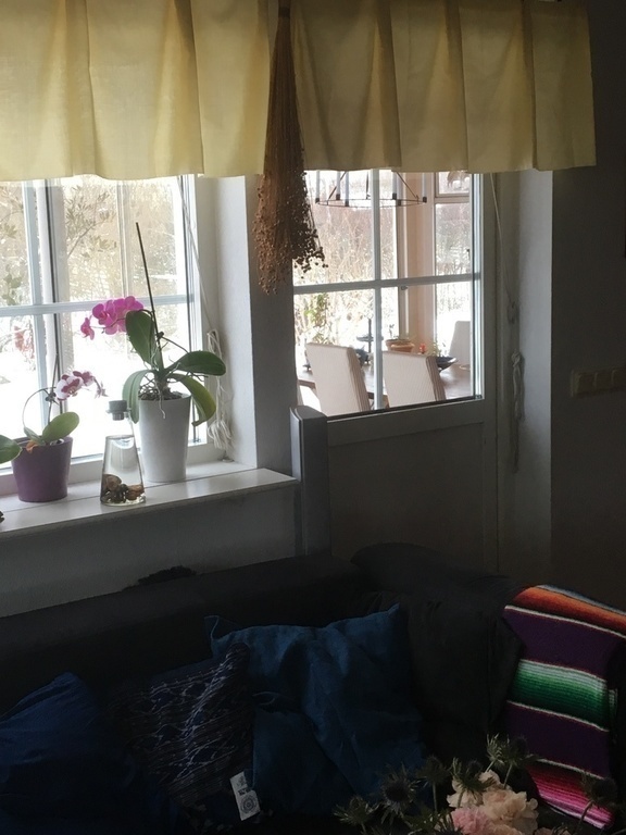 The door from the house to the sunroom. One way to get to the garden.