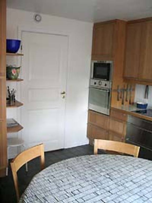 Kitchen, induction stove and oven