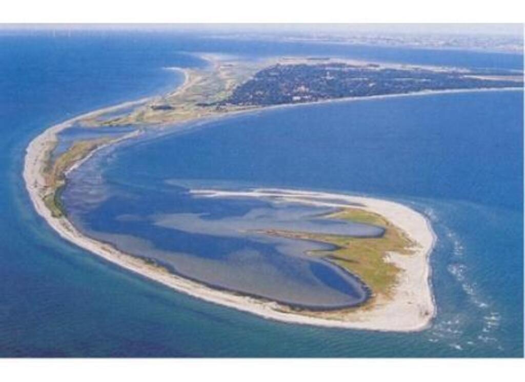 Måkläppen, Falsterbo