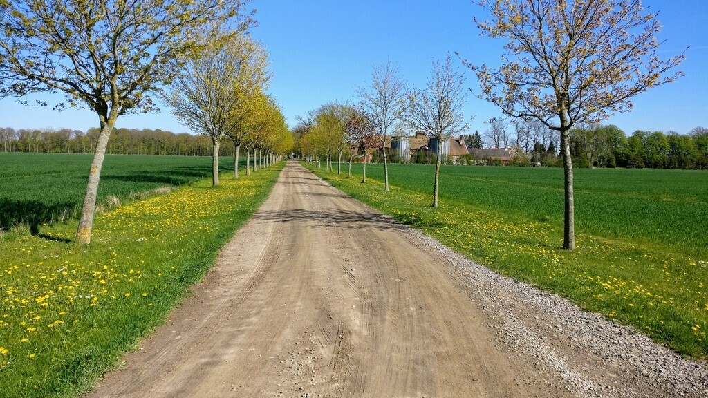 Our road