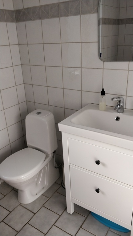 Downstairs bathroom with shower