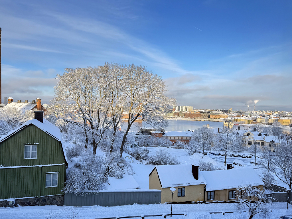 Winterview from livingroom