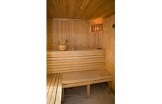Swedish sauna with shower in an adjacent wooden cabin