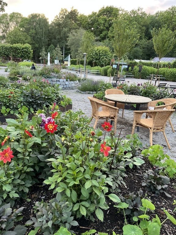 Enjoy a meal at the outdoor garden café in Vinterviken (also live music and events in summer time).