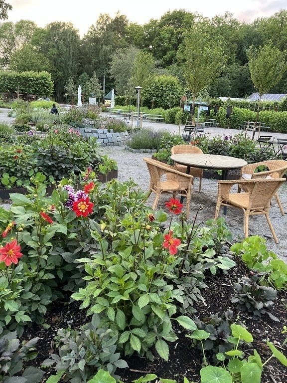 Enjoy a meal at the outdoor garden café in Vinterviken (also live music and events in summer time).
