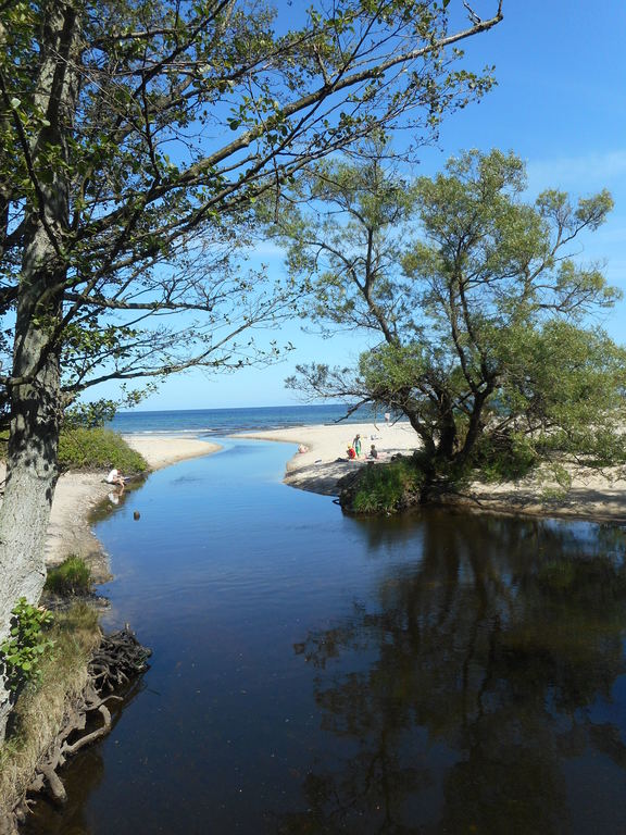 Favourite spot, beach, 1 hour drive just north of Kivik