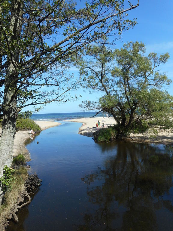 Favourite spot, beach, 1 hour drive just north of Kivik
