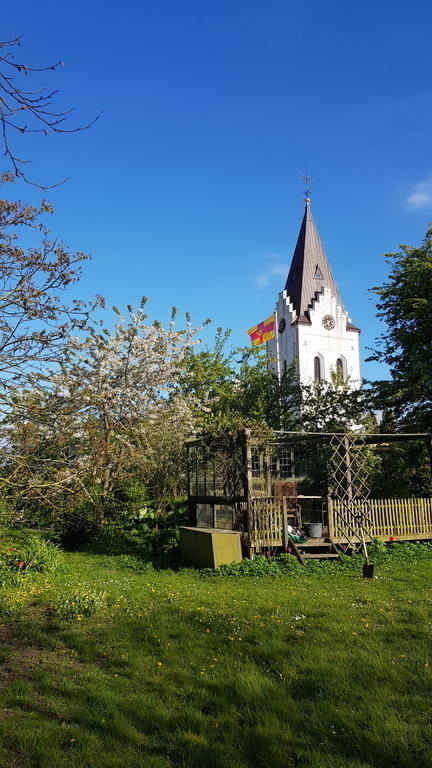 Garden,deck and barbecue (charcoal)