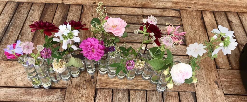 Summer flowers from the garden