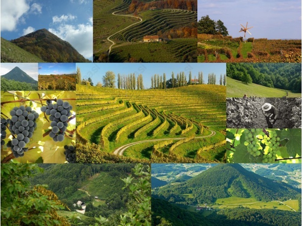 Slovenia is known for its amazing wines. You can visit agricultural tourism enjoy good food and homemade wine. Also the scene...